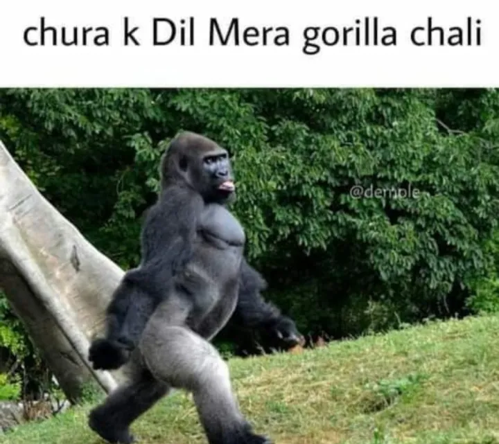 🤣🤣🤣🤣🤣🤣🤣🤣🤣🤣