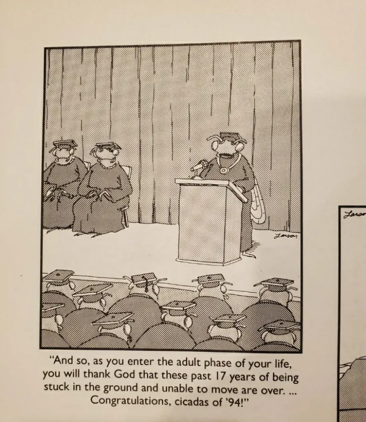 A far side lol