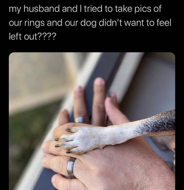 A very excellent photoshoot