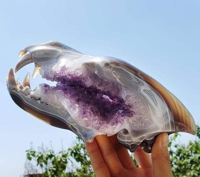 Agate Amethyst Geode Carved Crystal Wolf Skull
