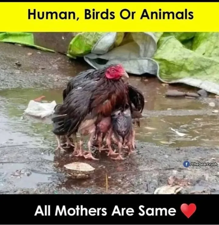 All mothers are same