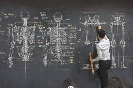 Anatomy teacher with his drawing lecture on a chalkboard.