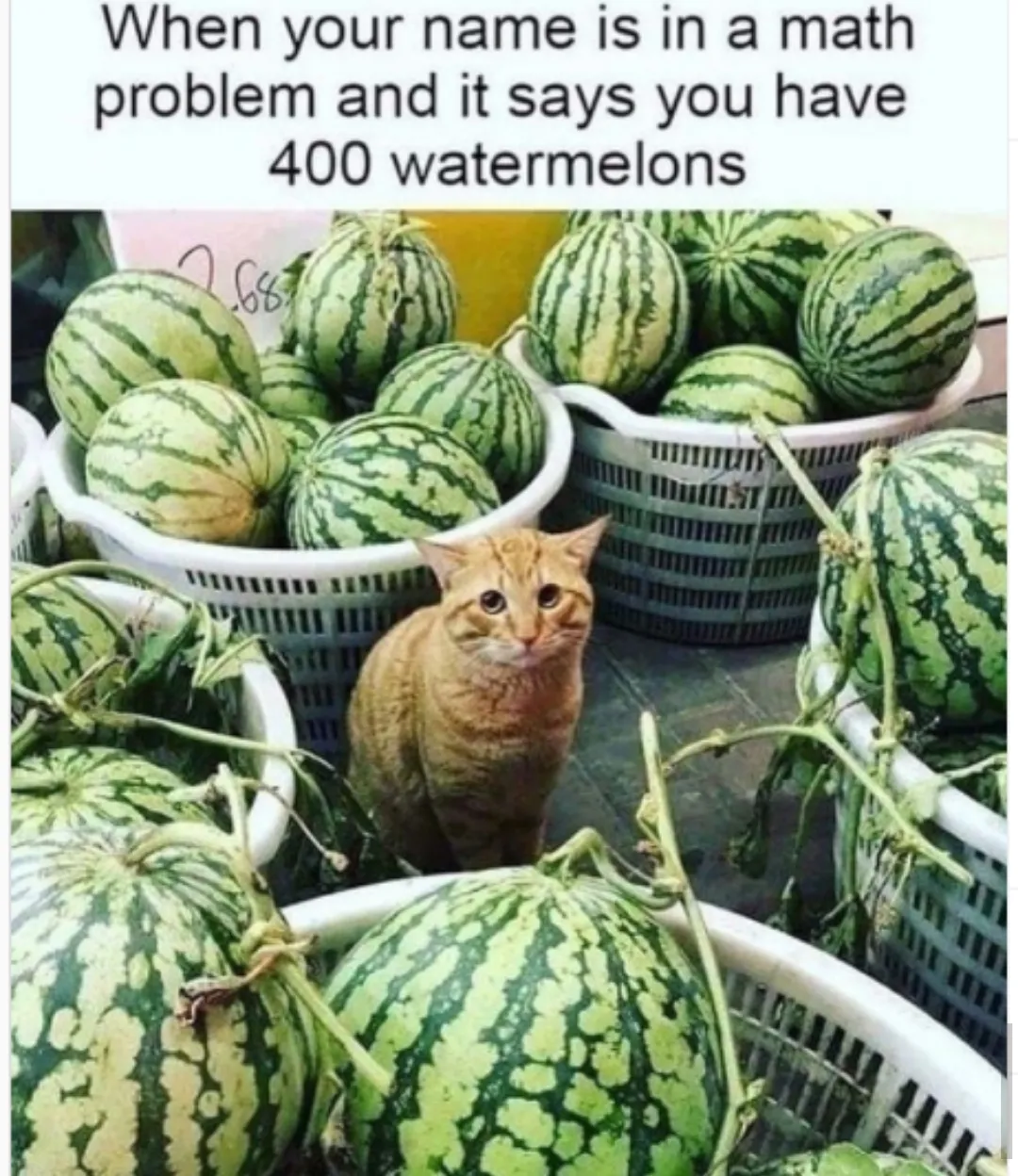 Anyone?special names