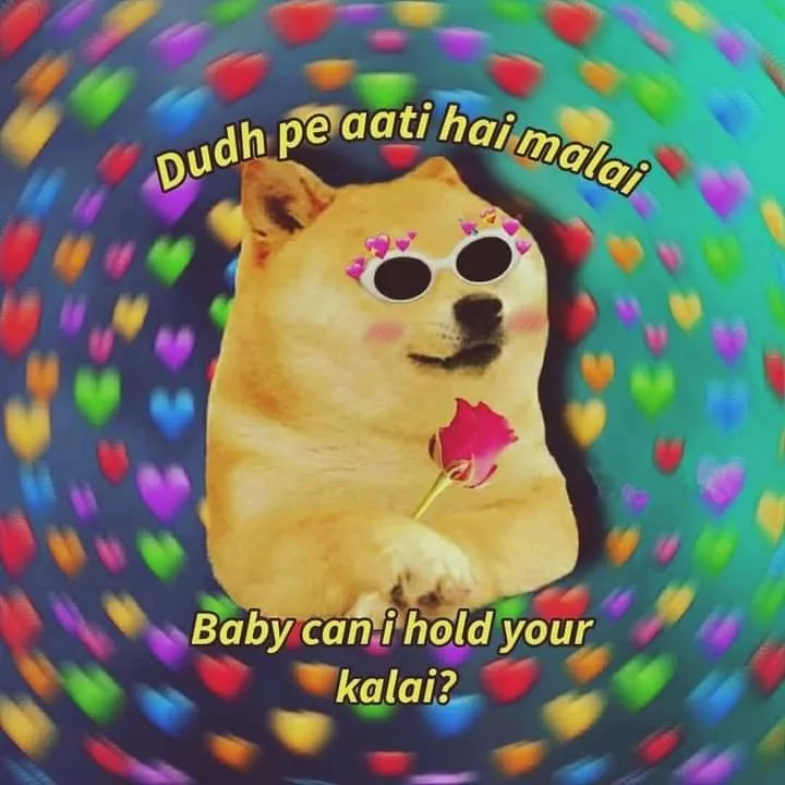 Are bhai bhai kya bol deya