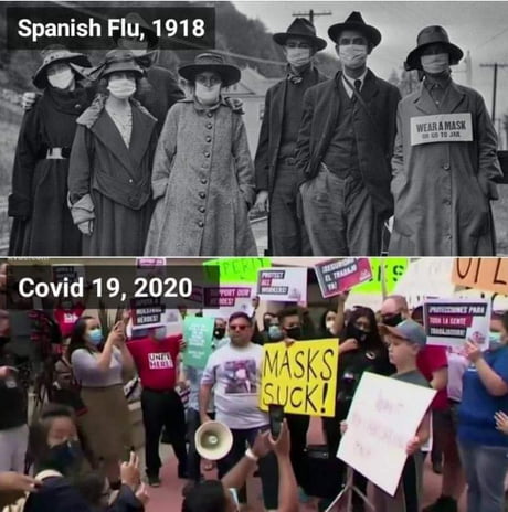 Are humans getting dumber ?