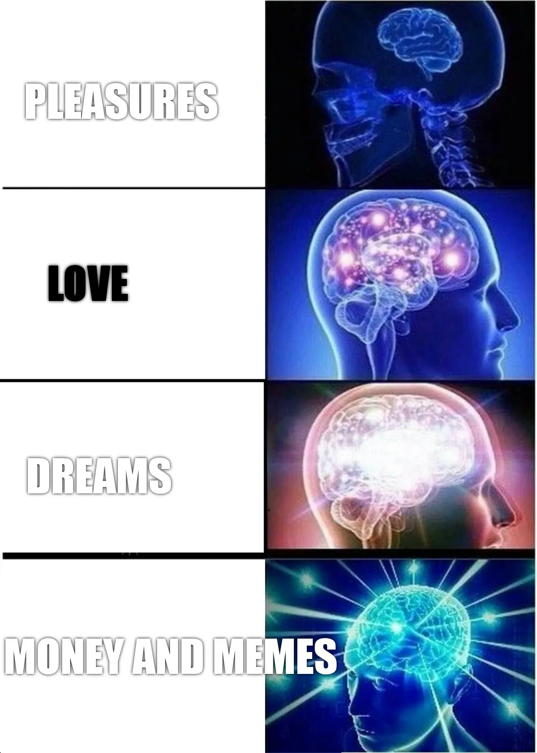 Aspects of life vs Meme