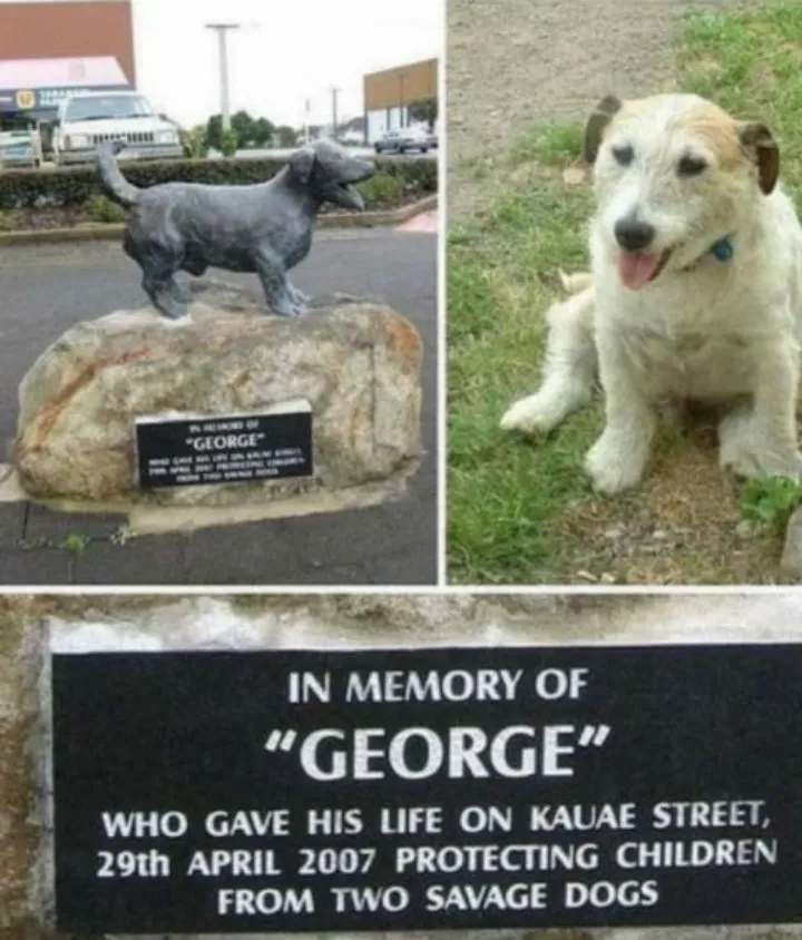 Av someone who need to see this