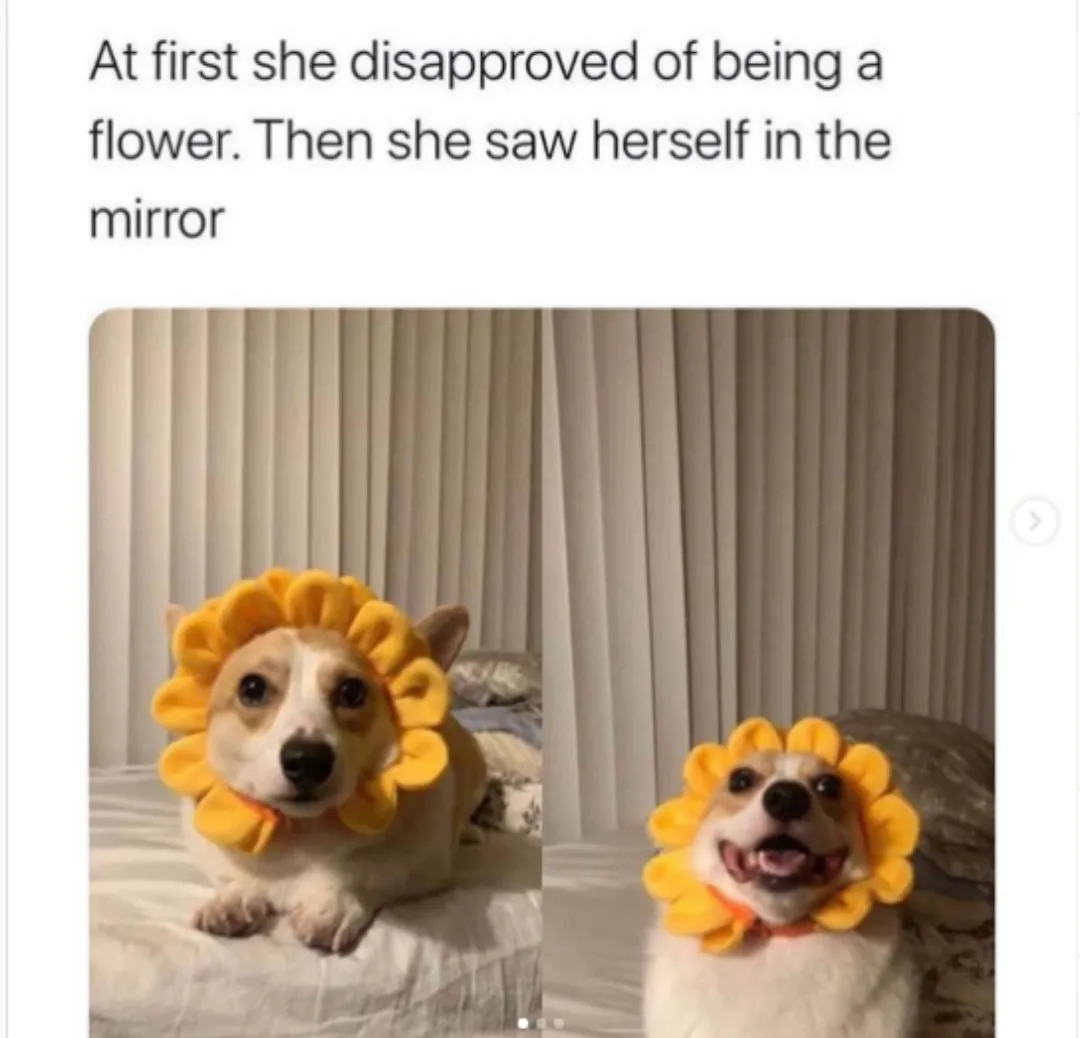 Aww the prettiest flower