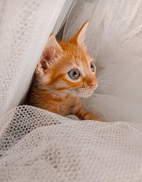 Baby taki rescued a couple of days ago