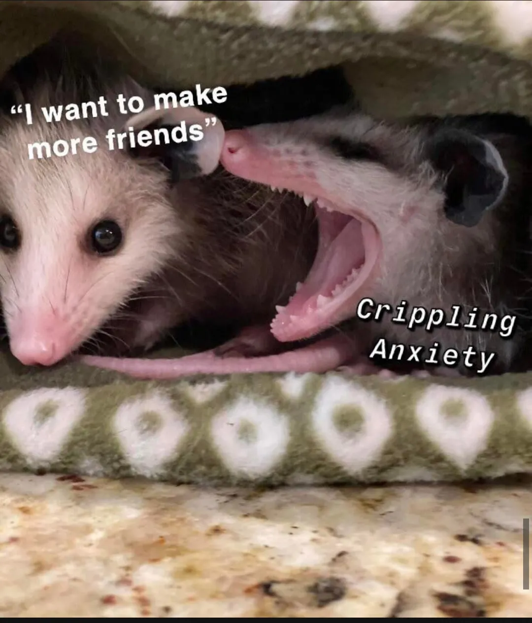 Being Social is hard