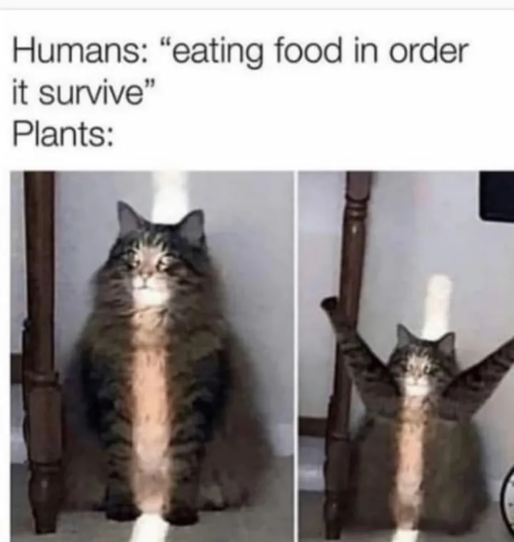 Best sunlight photoshoot ever