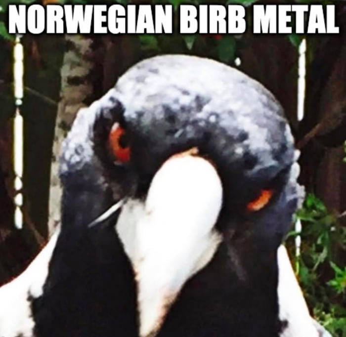 Blast beats intensifies