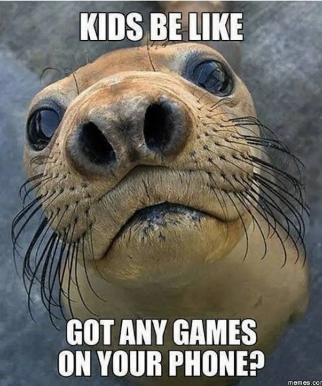 Boy asking for phone