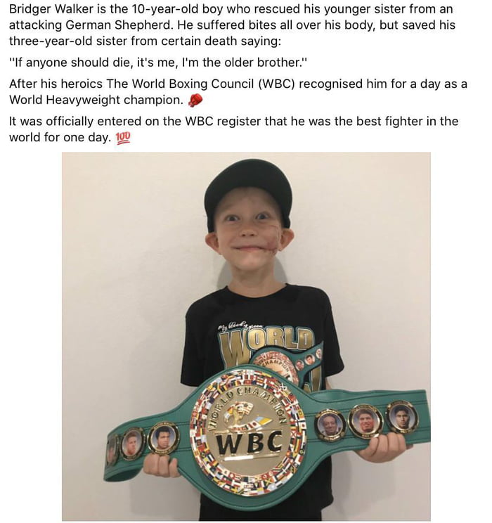 Boy who saved his sister from fatal dog attack given world champion fighter status for a day