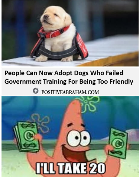 Calm Patrick are free Author:@PositiveAbraham