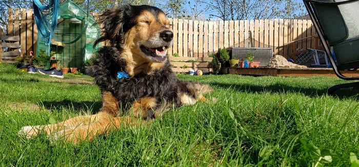 Candy will soon be turning 14.