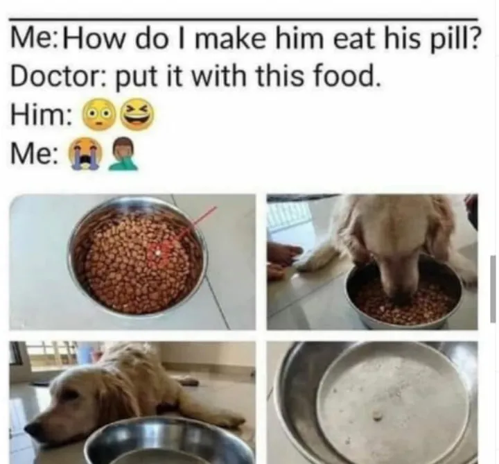 Cheese or penaut butter