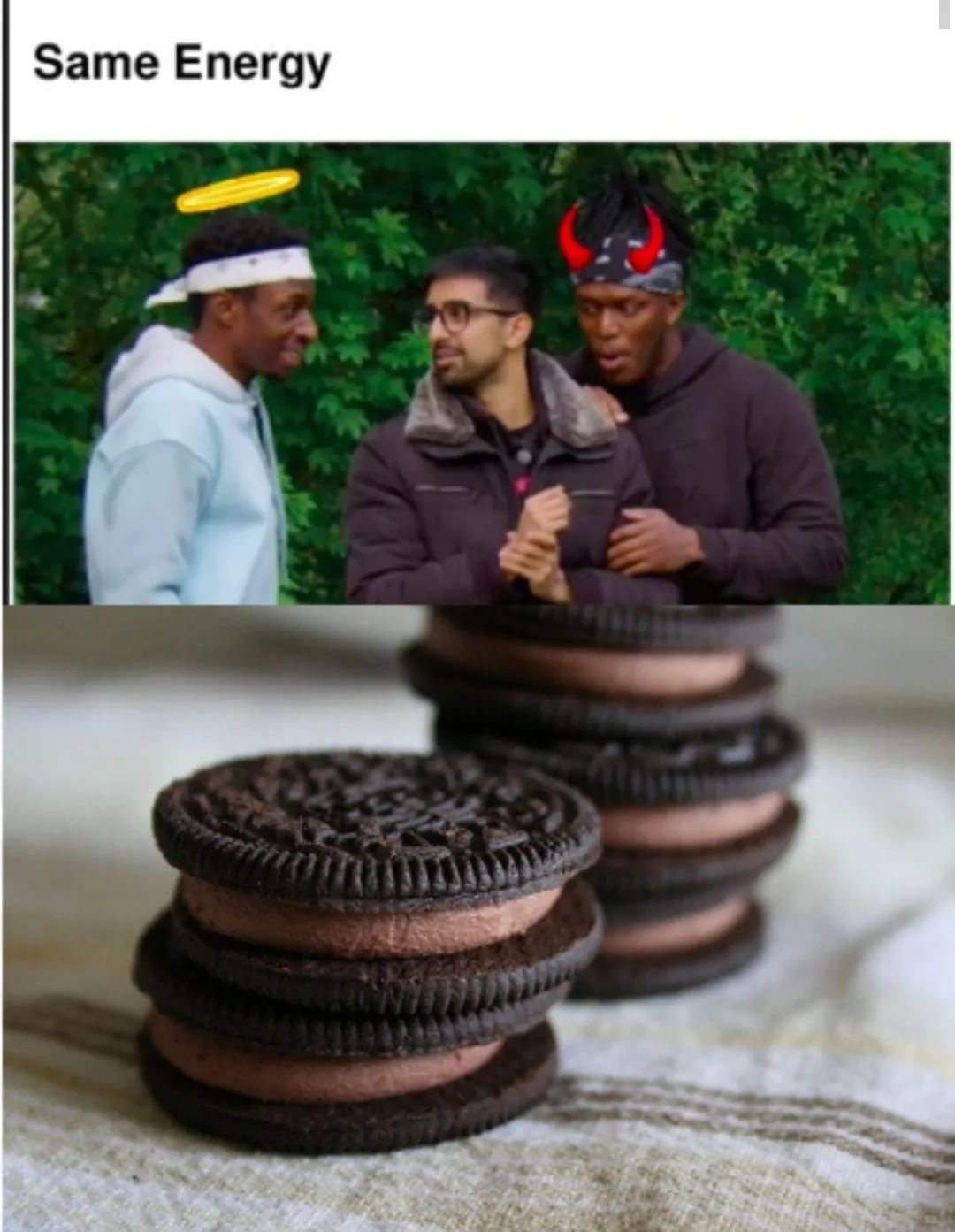 Chocolate oreos be like
