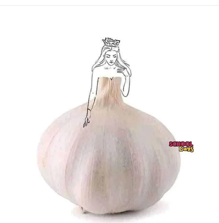 Creative.             .