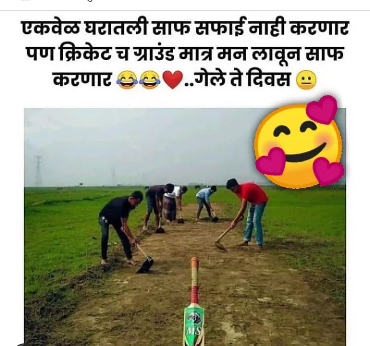 Cricket lovers
