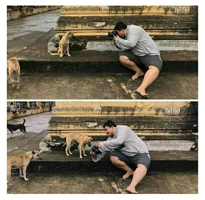 Customer satisfaction