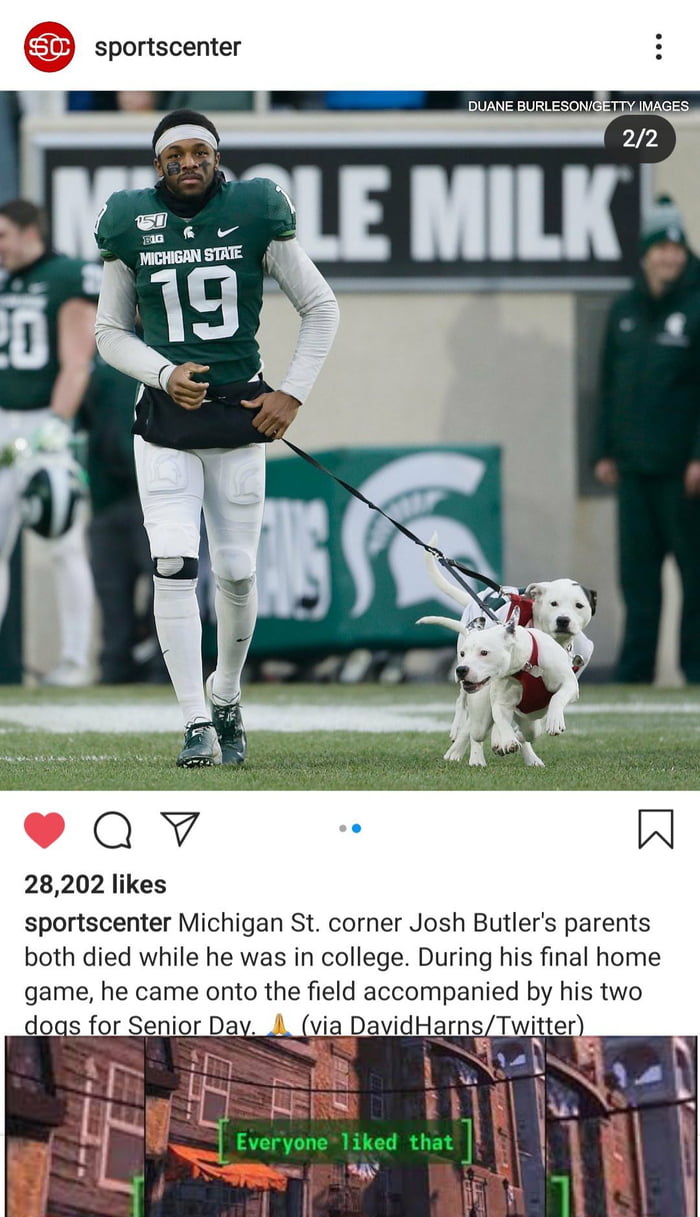 Damn those onion cutting ninjas