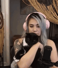 Dancing cat scene gif.