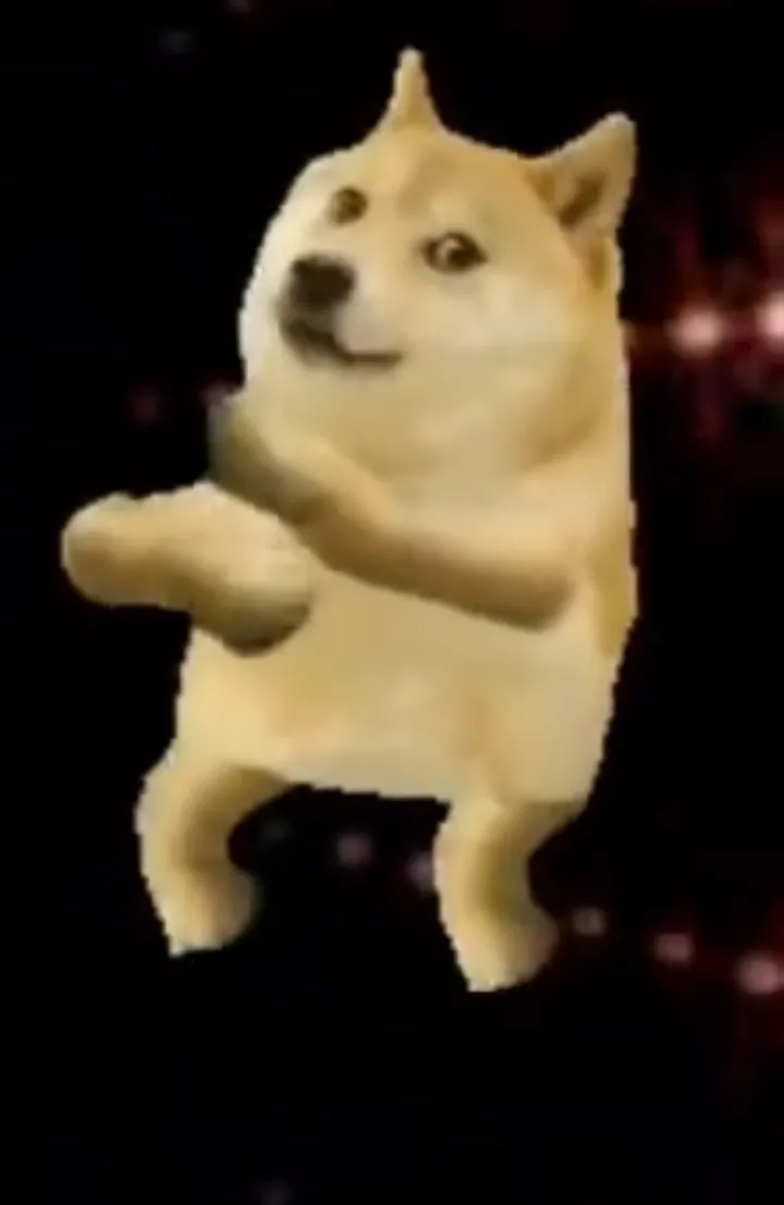 Dancing dog