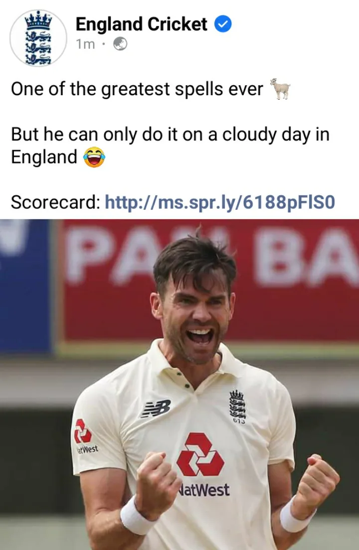 Do you think it's a meme?