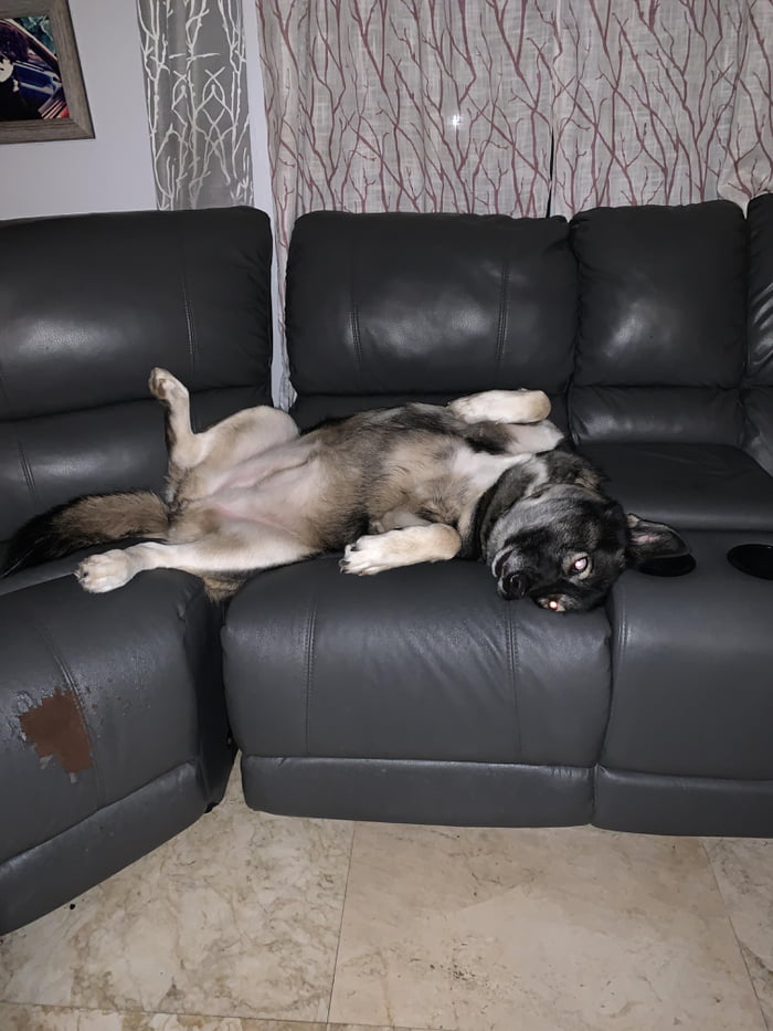 Draw Me Like One Of Your French Girls.