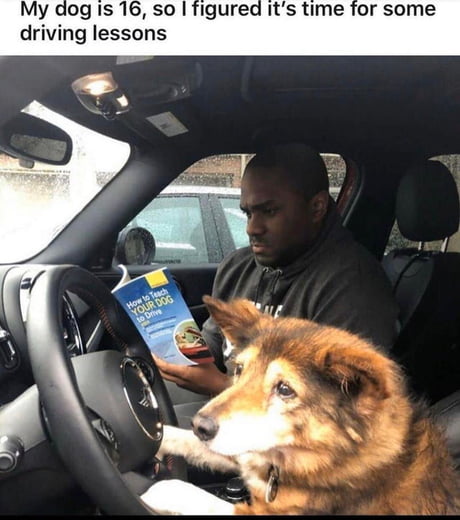 Driving lessons