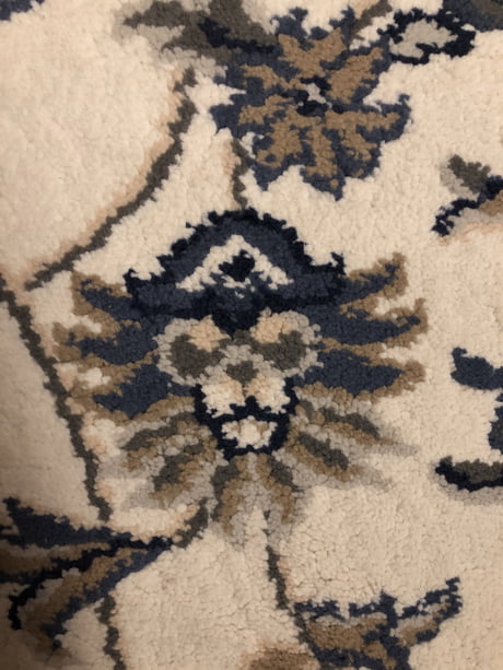 Drunk me at 1am seeing a lion in a pirate hat on my carpet