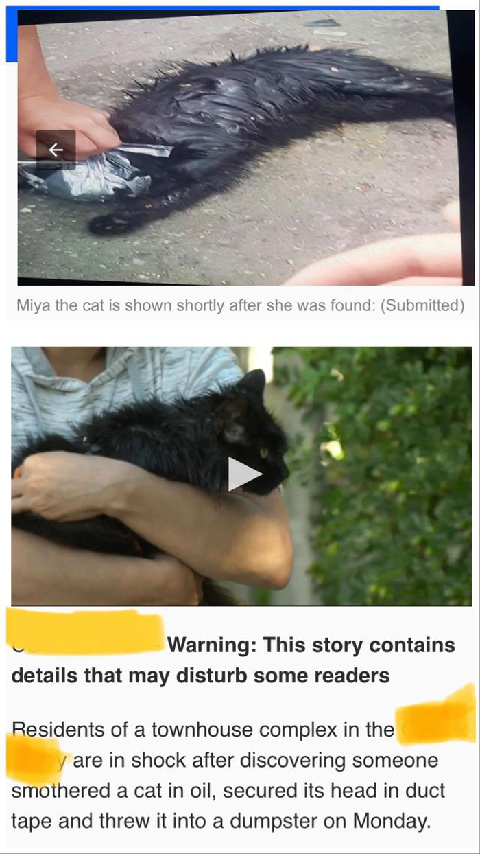 Duct taping a cats face, lathering it in oil, and throwing it in a trash bin.