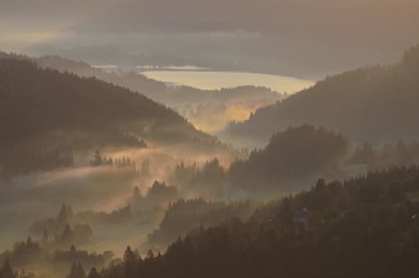 Early Morning Black Forest Germany