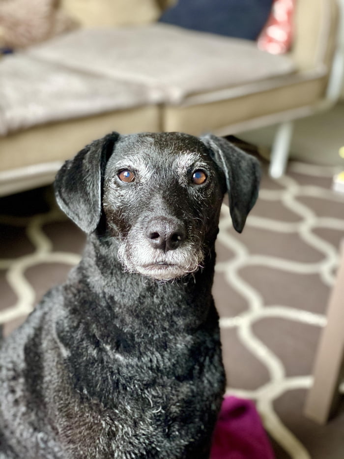 Ema 11 years old after her