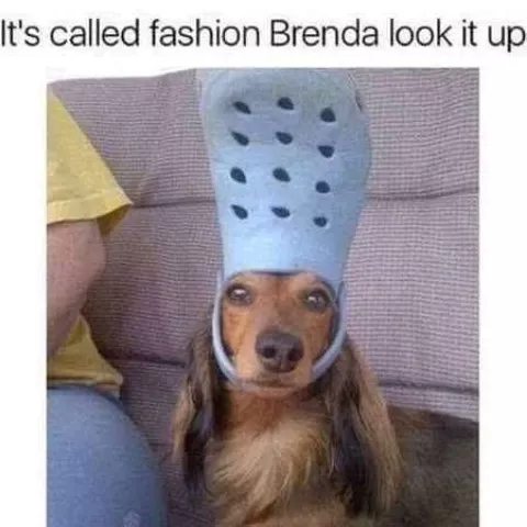 Fashion brenda