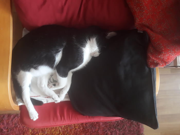 Fell asleep face in the pillow