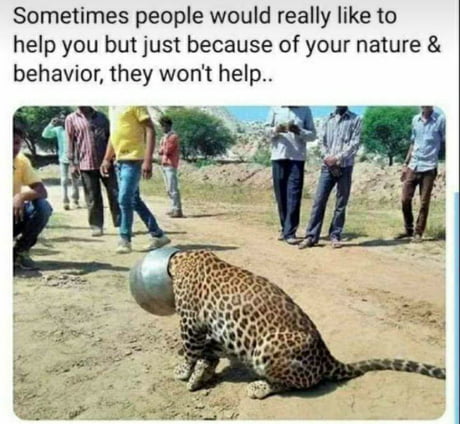 Found this gem in my screenshots...just wanted to share