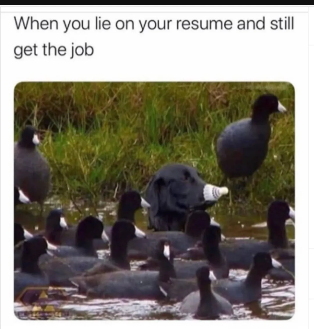 Get the job