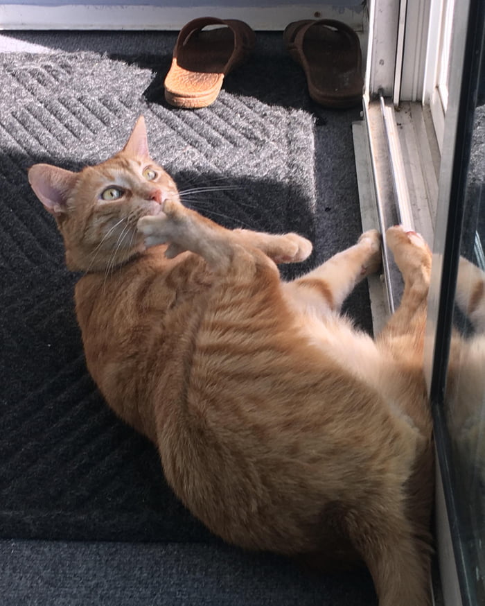 Getting a good whiff of his toe beans.