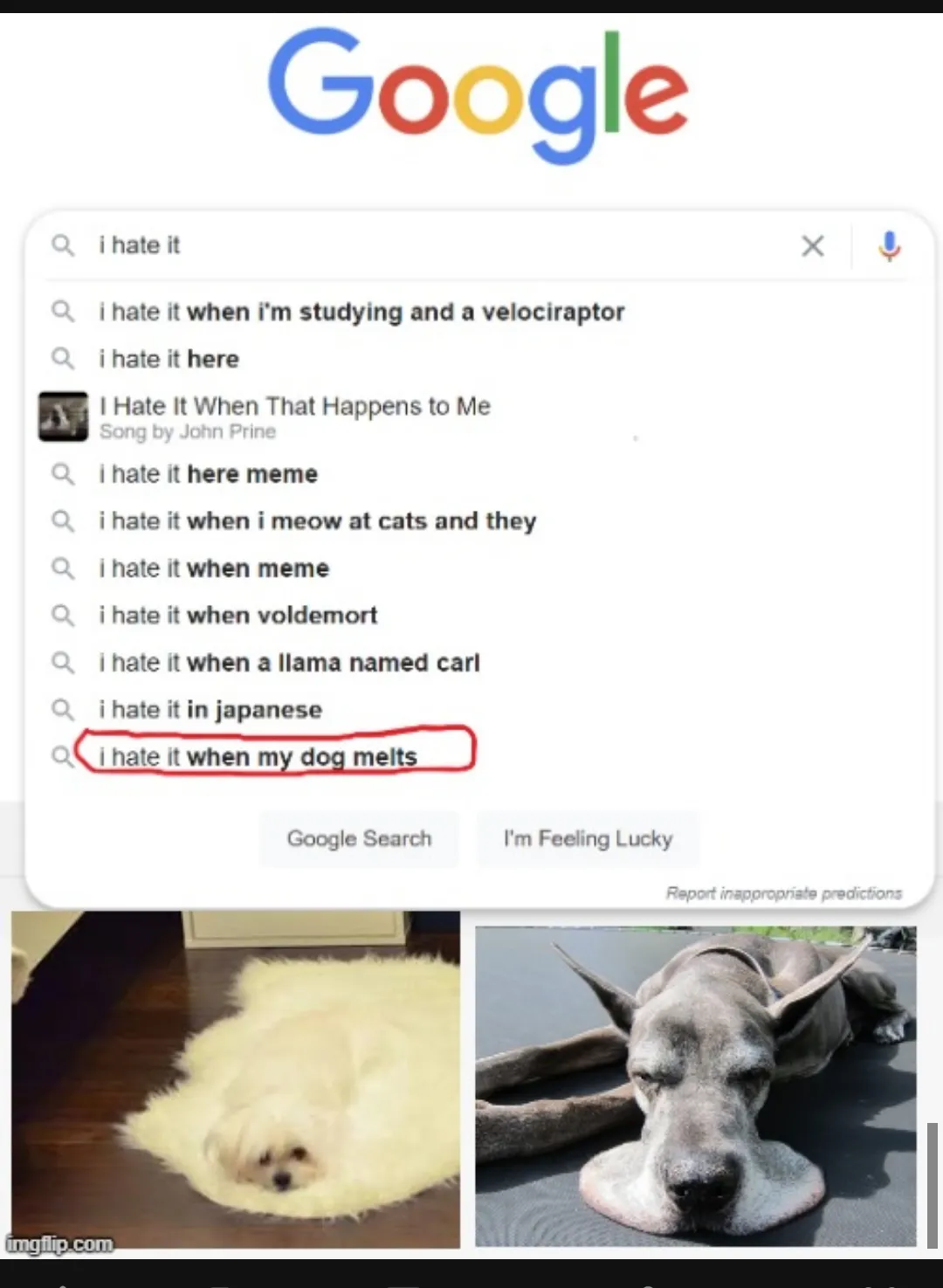 Got to cool my pupper in the freezer