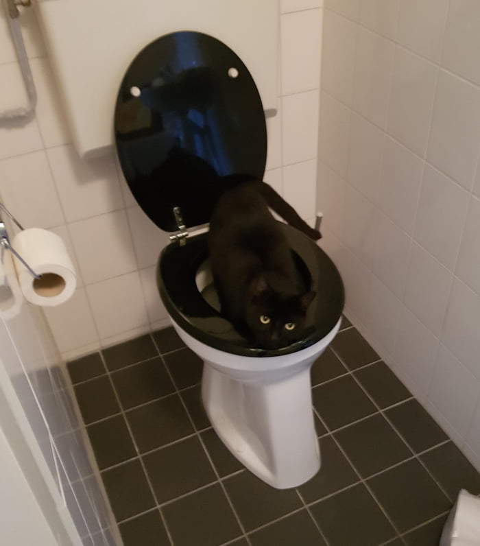 Guess he forgot to lock the door