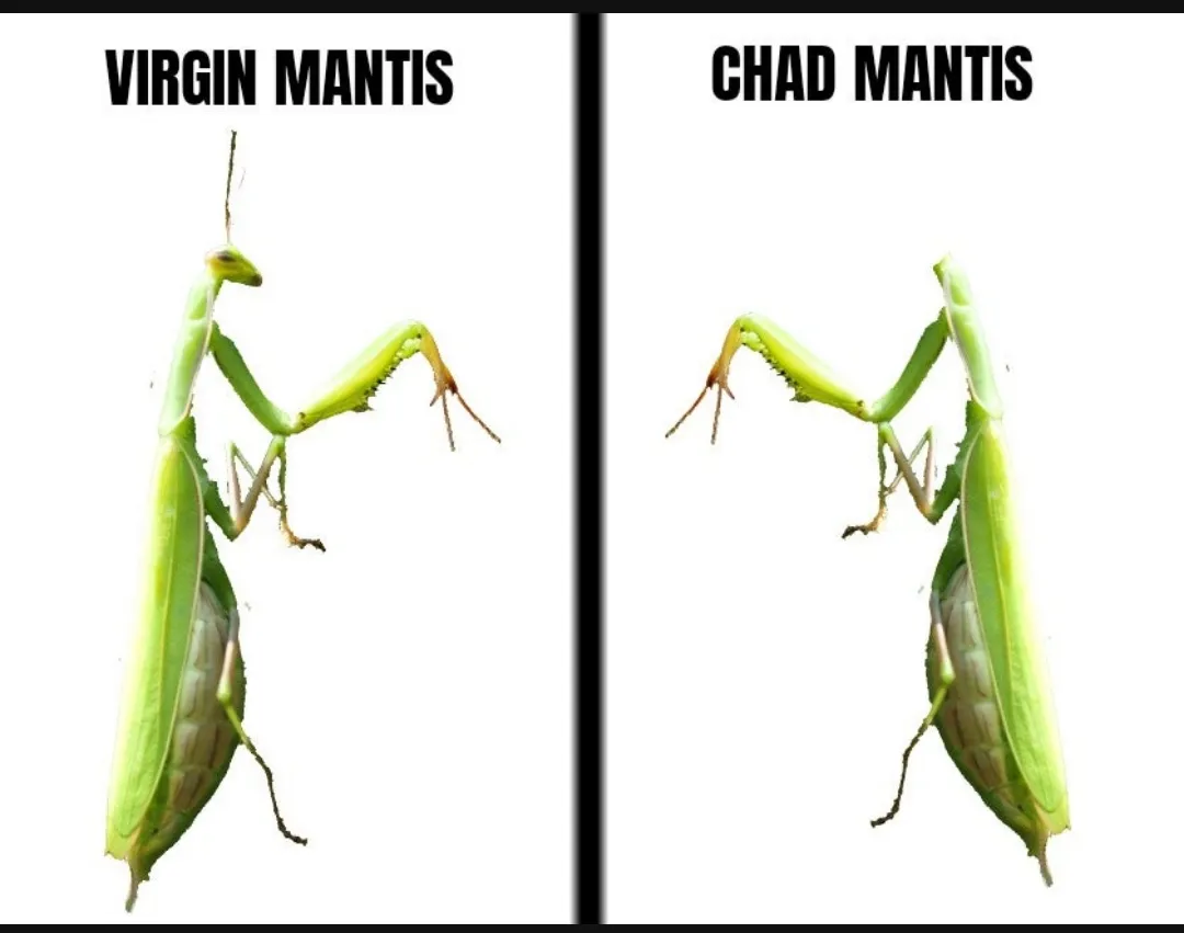 Guess who got laid tonight