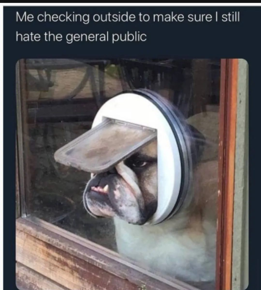 Hate general public woof!
