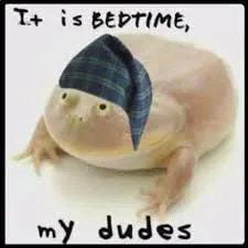 Have a good night, my dudes!