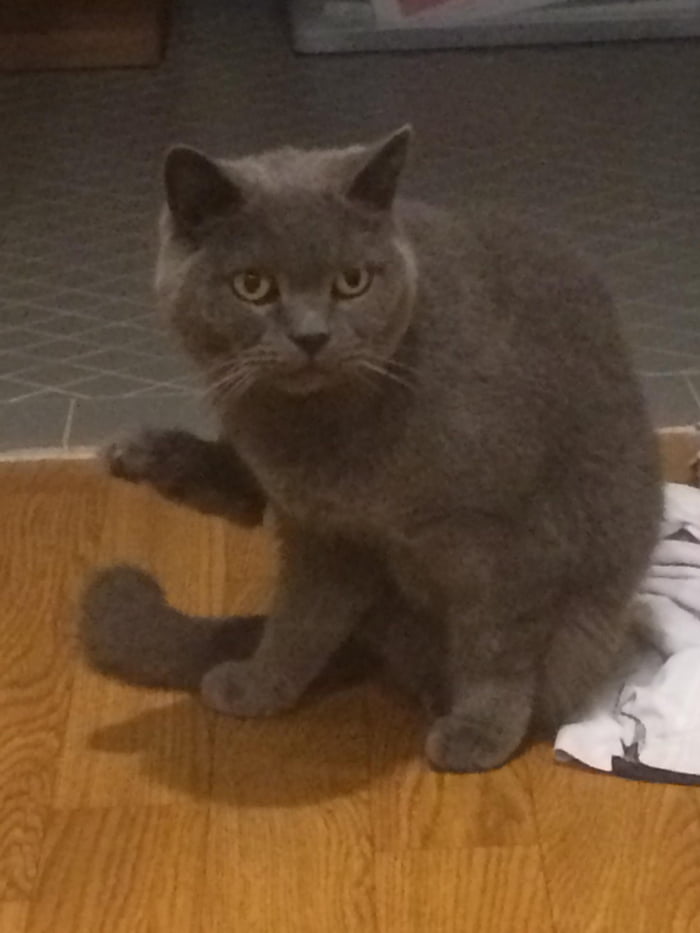 He always sits with a leg up.