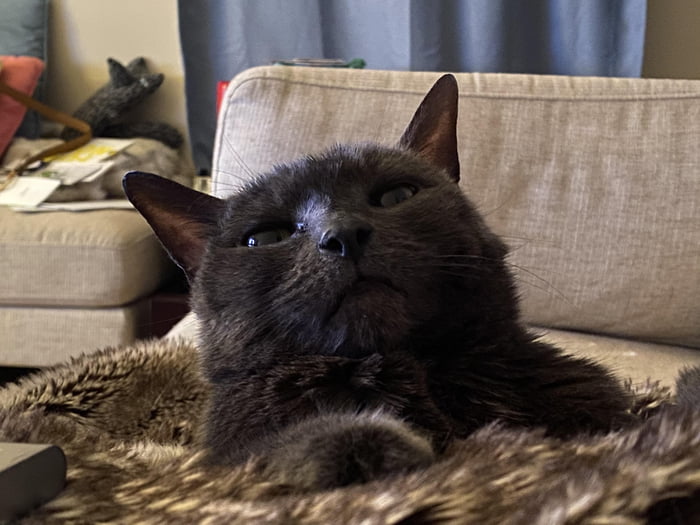 He do be vibin' tho...he's just vibin'