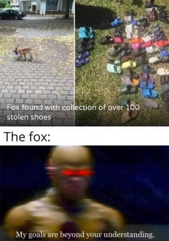 He doesn't give a Fox.
