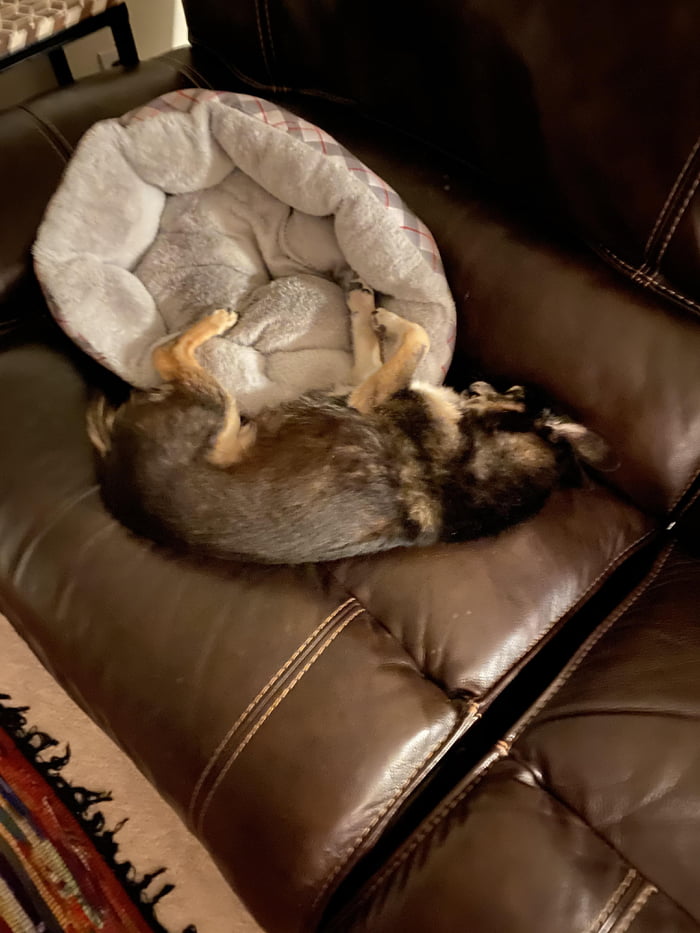 He lays how he wants