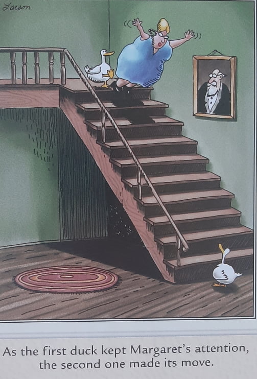 He made his move caw caw